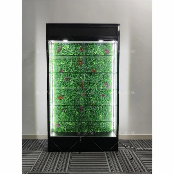 Led Display Case